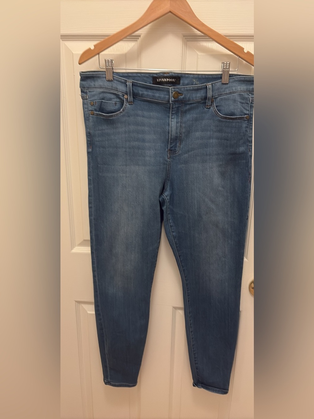 Liverpool Medium Wash Skinny Jeans in Blue
